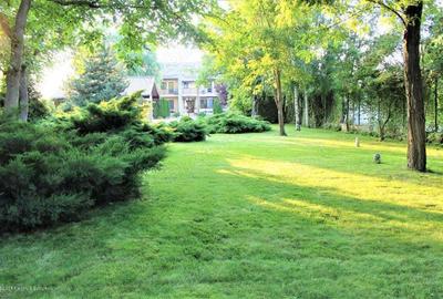 Buftea vand casa eficienta energetic piscina jacuzzi sauna garaj teren 3000 mp str Razboieni 7 - 1