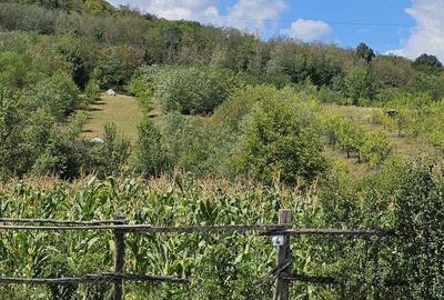 Teren de 1100 mp, în Tisău - 1
