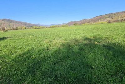 Spațiu comercial, în Central - 6