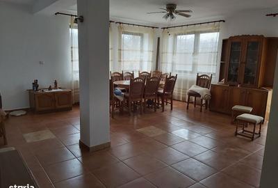 Casă cu 4 camere în Viile Satu Mare - 12