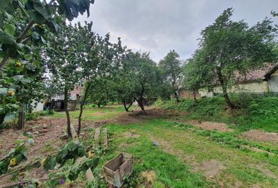 Teren rezidential Tohan, Zarnesti zona de case - 2
