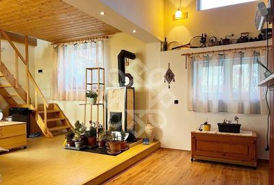 Casa cu teren 2052 mp in Saldabagiu de Munte - 2