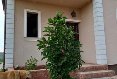 Casă în Domnești - 5