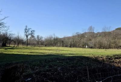 Teren de 4549 mp, în Gura Vitioarei - 1