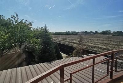 Casă cu Teren 450 Mp în Frumușani - 5
