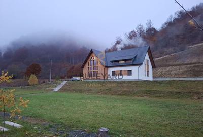 Proprietate cu potențial turistic în zona montană a Țării Lăpușului - 2