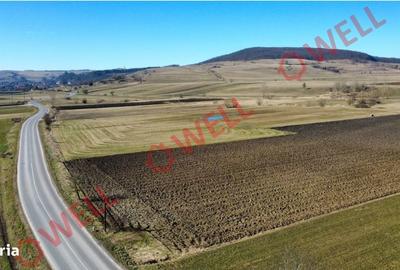 Teren de 15000 mp, în Bățani - 4