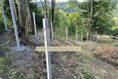 Teren de 2301 mp, în Piatra (Provița de Jos)