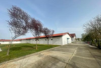 Hale de inchiriat, 676 mp in Dumbravi?a - 3