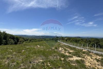 Teren agricol intravilan de 55600 mp, în Codru Butesii - 8