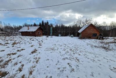 Teren de 10000 mp, în Râșca - 2