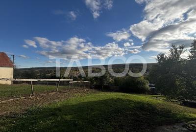 Exclusivitate comision 0% casa cu anexe si teren 3700 mp Alamor - 4