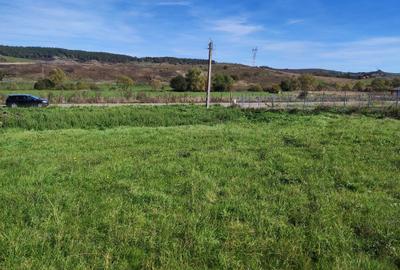 Spațiu comercial, în Central - 3