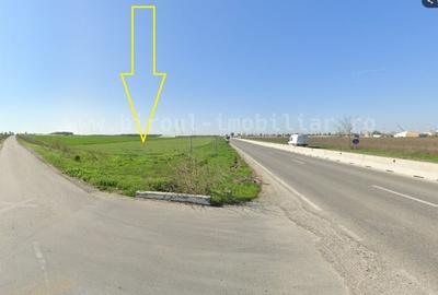 Teren Intravilan 4,5 ha – Poziție Strategică vis-à-vis de Aeroportul MK - 4