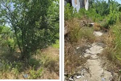 Casa si teren Cucuruzu, ID: R2609648 - 8