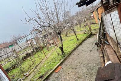 Casă cu 3 camere cu Teren 240 Mp în Șimian - 10