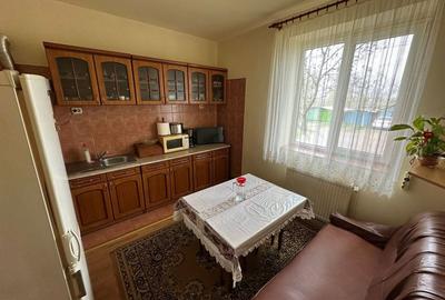 Apartament cu 2 camere decomandat în Cunța - 14