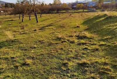 Spațiu comercial, în Voila - 5