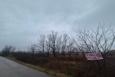 TEREN EXTRAVILAN CRASNA - 2