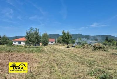 Teren de 3000 mp, în Merișor - 6