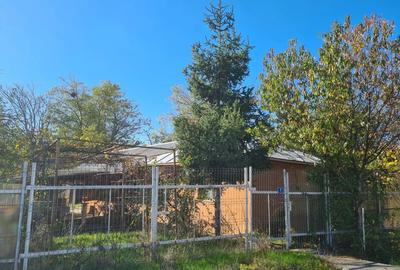 Vand casa la curte cu imbunatatiri - 2