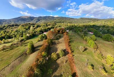 Vand teren in Corbeni, Arges - 7