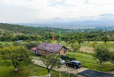 Teren Investitie- 1730 mp-Cabana construita 60 mp - 1