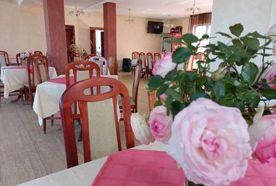 Proprietate specială, de 1,080 mp, în Sânmartin - 11