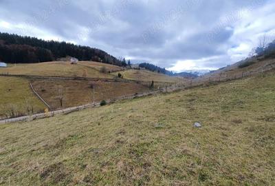 Teren de 9515 mp, în Central - 1