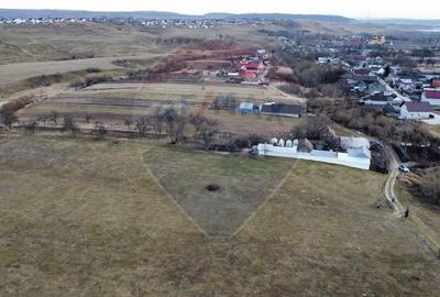 Teren agricol intravilan de 2592 mp, în Lipoveni - 7