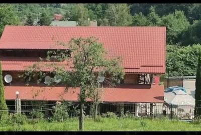 Spațiu comercial, de 400 mp, în Văliug - 2