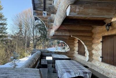 Cabana in inima muntilor, langa partia de schi din Borsa, teren 2200mp - 15