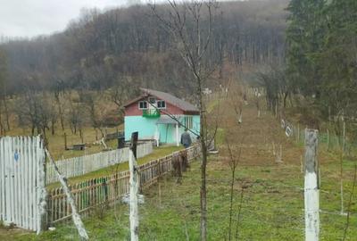 Vand casa teren intravilan 1500 mp - 2