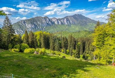 Teren intravilan cu potential turistic si de agrement, zona Trei Brazi - 6