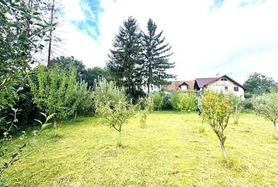 Vanzare teren investitie retail in Gura Humorului - Bld. Bucovinei - 13