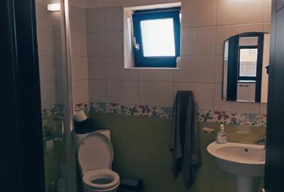 Proprietate Specială Pitești / Bascov - 13