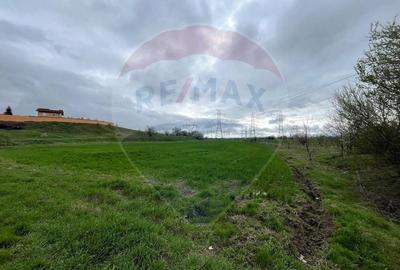 Teren Construcții intravilan de 5262 mp, în Glina - 1