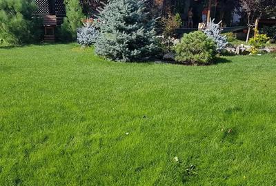 Casă individuală cu 5 camere cu Canalizare în Berceni - 9