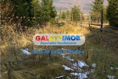 Teren pentru Complex Turistic - 12 730 mp  - Vatra Dornei - 11