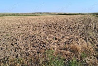 MCD Expert Imobiliare Vanzare teren agricol, Zona Izvoare - 2