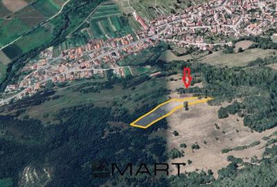 Teren agricol extravilan de 5500 mp, în Șelimbăr - 2