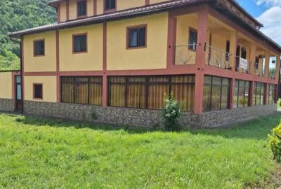 Spațiu comercial, de 400 mp, în Topleț - 5