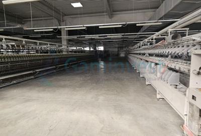 Spațiu comercial, de 6,227 mp, în Mădăras - 15