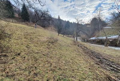 Teren în Bran - 2