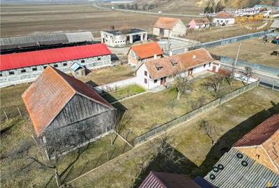 Proprietate autentica+spatiu gospodaresc,1800mp,Araci,Covasna - 21