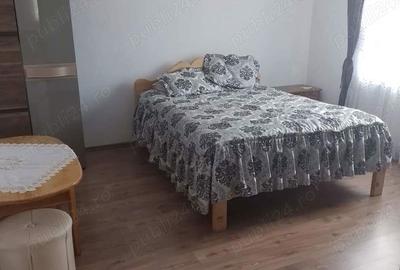 Casă cu 6 camere în Sebeș - 4