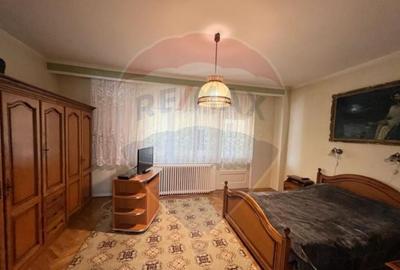 Casa str. Progresului , Sebes, destinatie : uni/multifam... - 6
