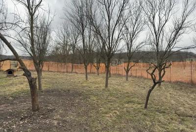 Teren de 1064 mp, în Bârlea - 5