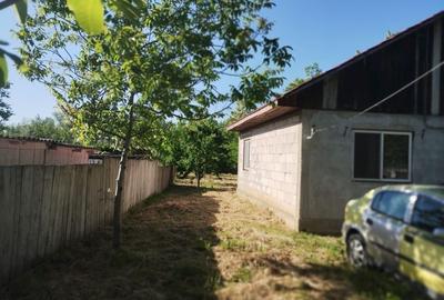 Casă cu 3 camere în Prisăcani - 2