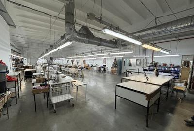 Complex industrial 30130 mp construit - Teren 42558 mp - 2